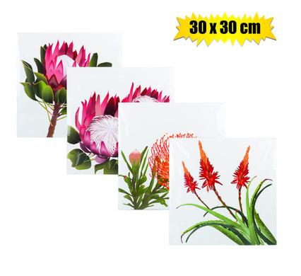 Plaque-wall canvas picture protea 30x30