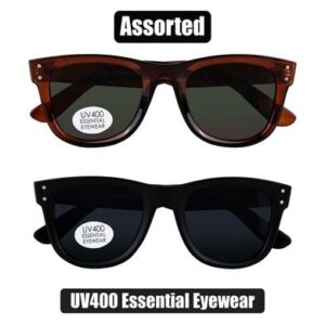 Sunglass ess/unisex modern wayyfarer