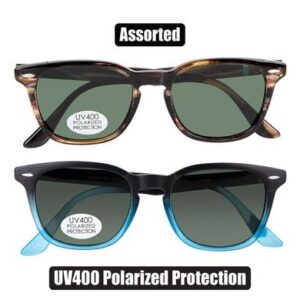 Sunglass pol/unisex classic wayfarer