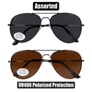 Sunglass pol/unisex classic aviator