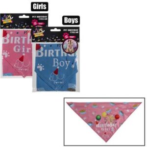 Dress up pet birthday collar