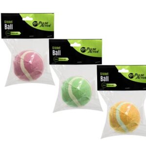 Ball cricket practice